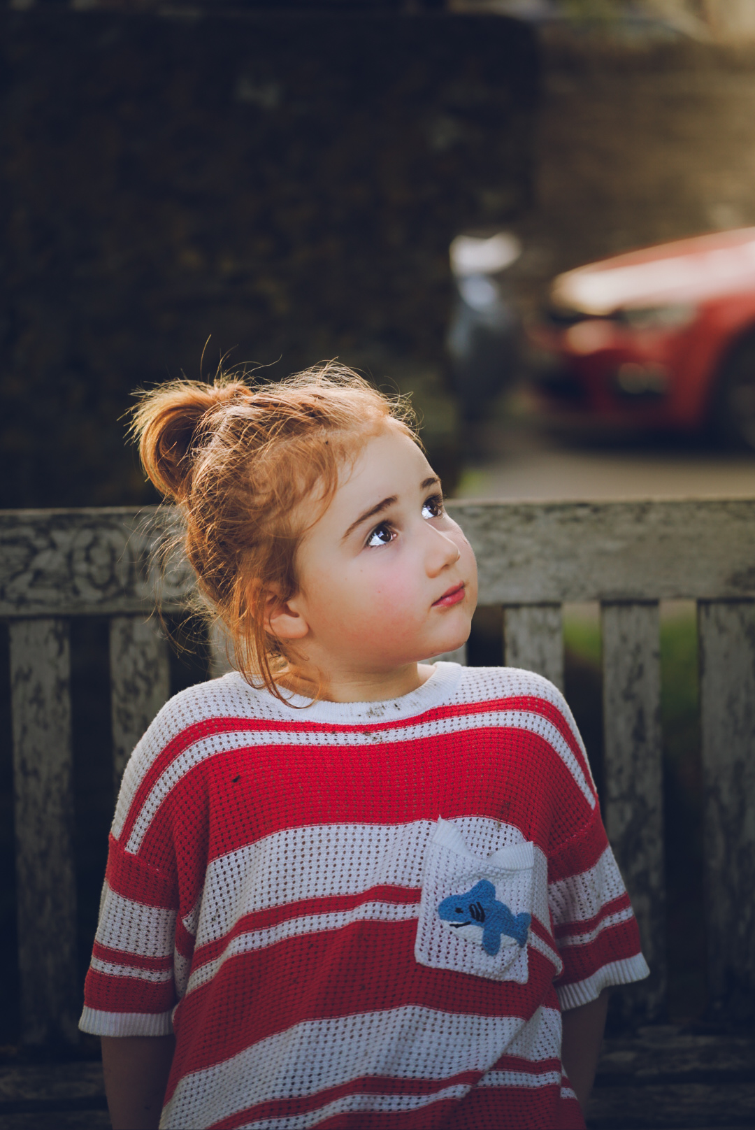 Featured photograph